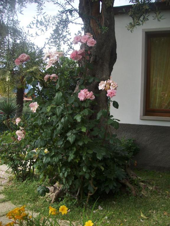 Garni Casa Rabagno Hotel
